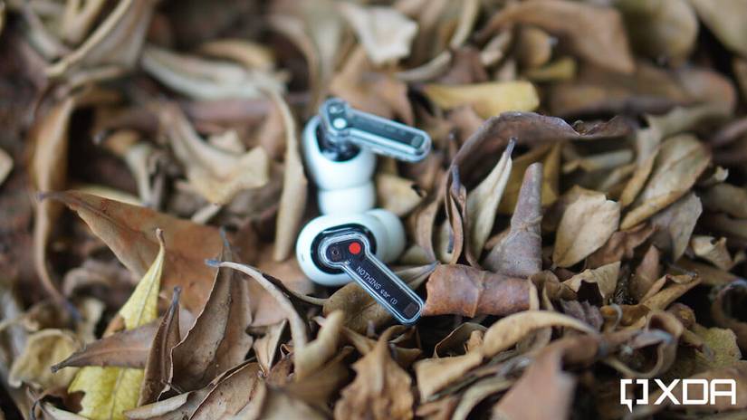 Both earbuds