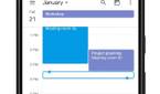 Google Calendar view