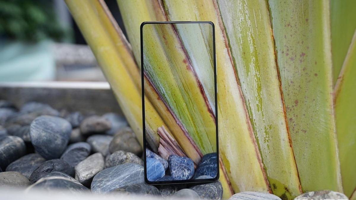Xiaomi Mix 4 camouflaged by plants, barely visible against the background because of its immersive display