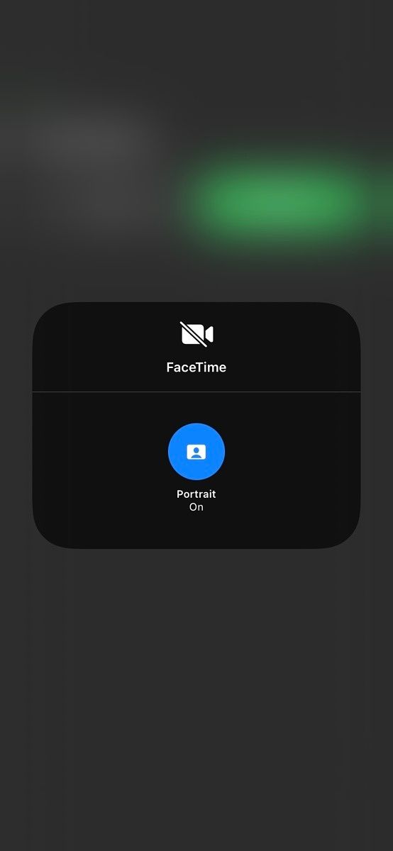 Screenshot showing Portrait Mode in Facetime on iOS 15