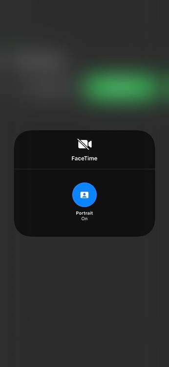Screenshot showing Portrait Mode in Facetime on iOS 15