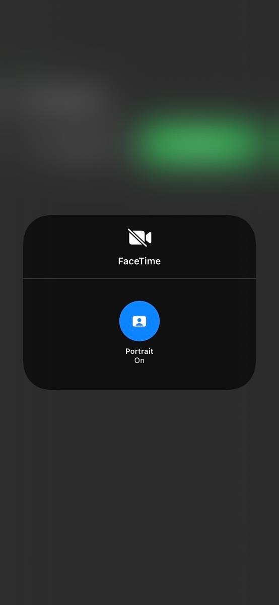 Screenshot showing Portrait Mode in Facetime on iOS 15