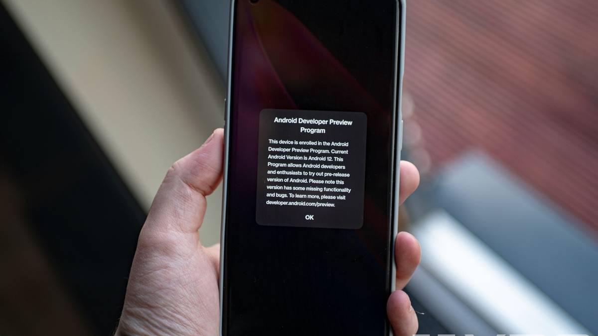 Android 12 on the OnePlus 9 Pro developer program message