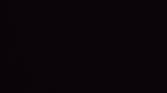 The camera app on OxygenOS 11