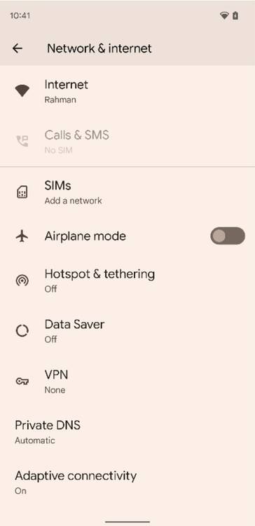 Private DNS setting found under Network & Internet