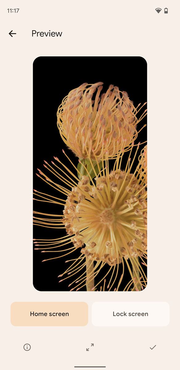 Wallpaper preview in Android 12 on a Pixel phone