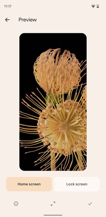 Wallpaper preview in Android 12 on a Pixel phone