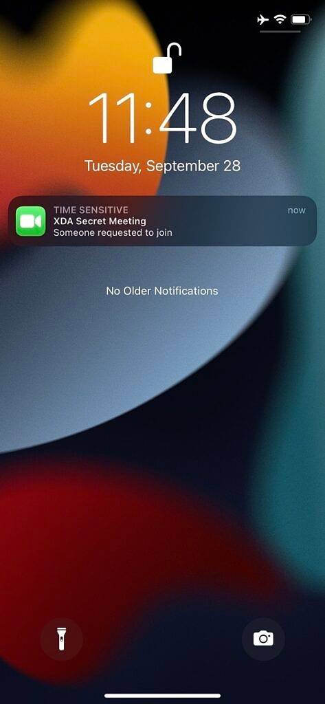 FaceTime screenshot