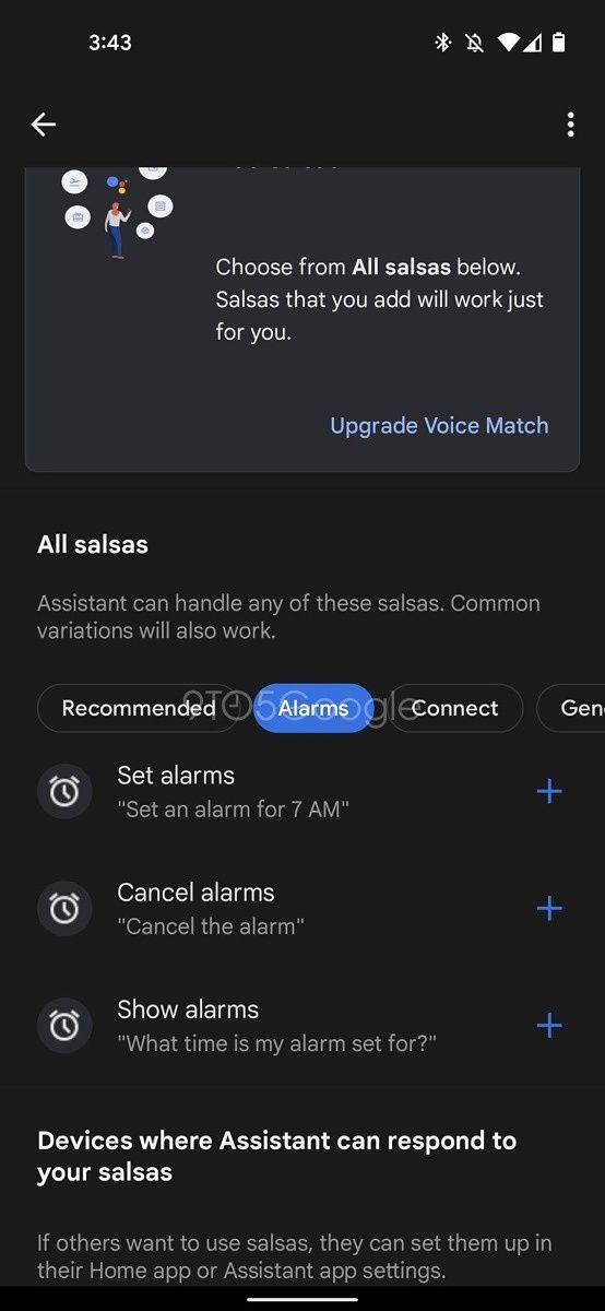 Google Assistant settigs page