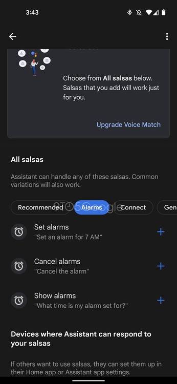 Google Assistant settigs page