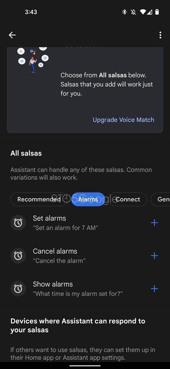 Google Assistant settigs page