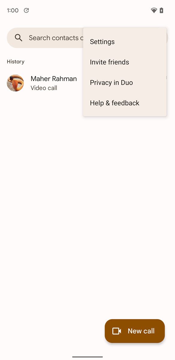 Google Duo Material You
