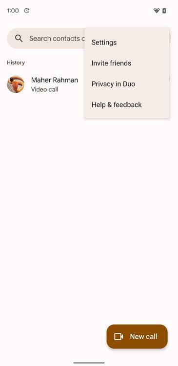 Google Duo Material You
