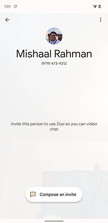 Google Duo Material You