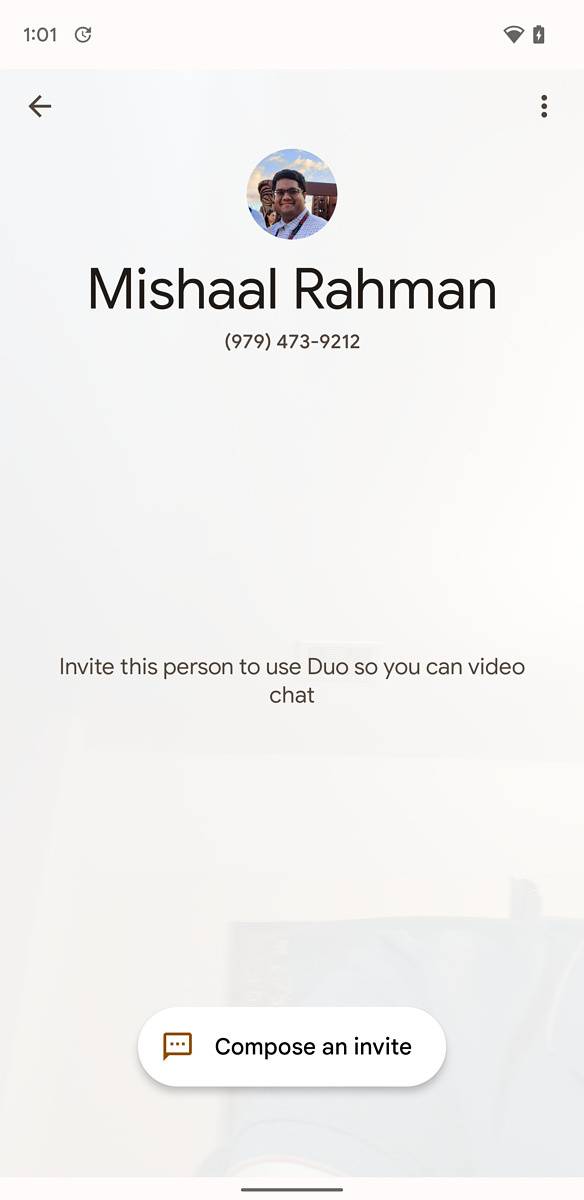 Google Duo Material You