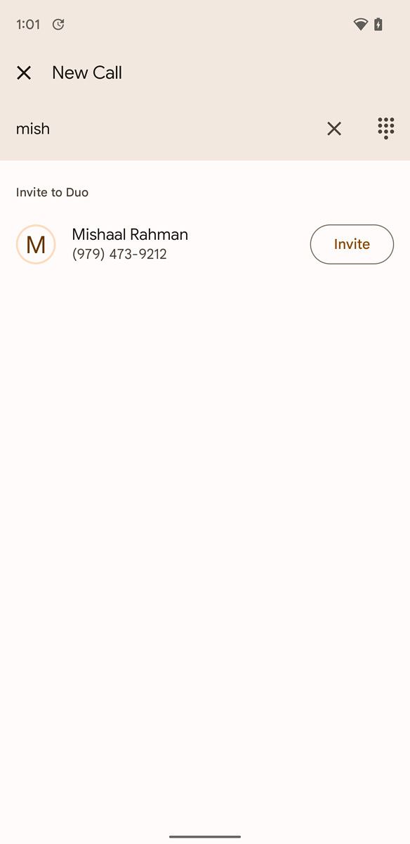 Google Duo Material You