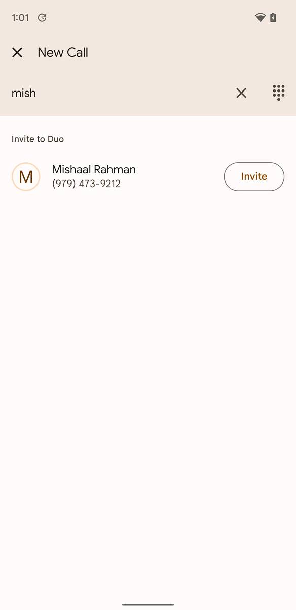 Google Duo Material You