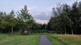 Landscape shot on the Axon 30