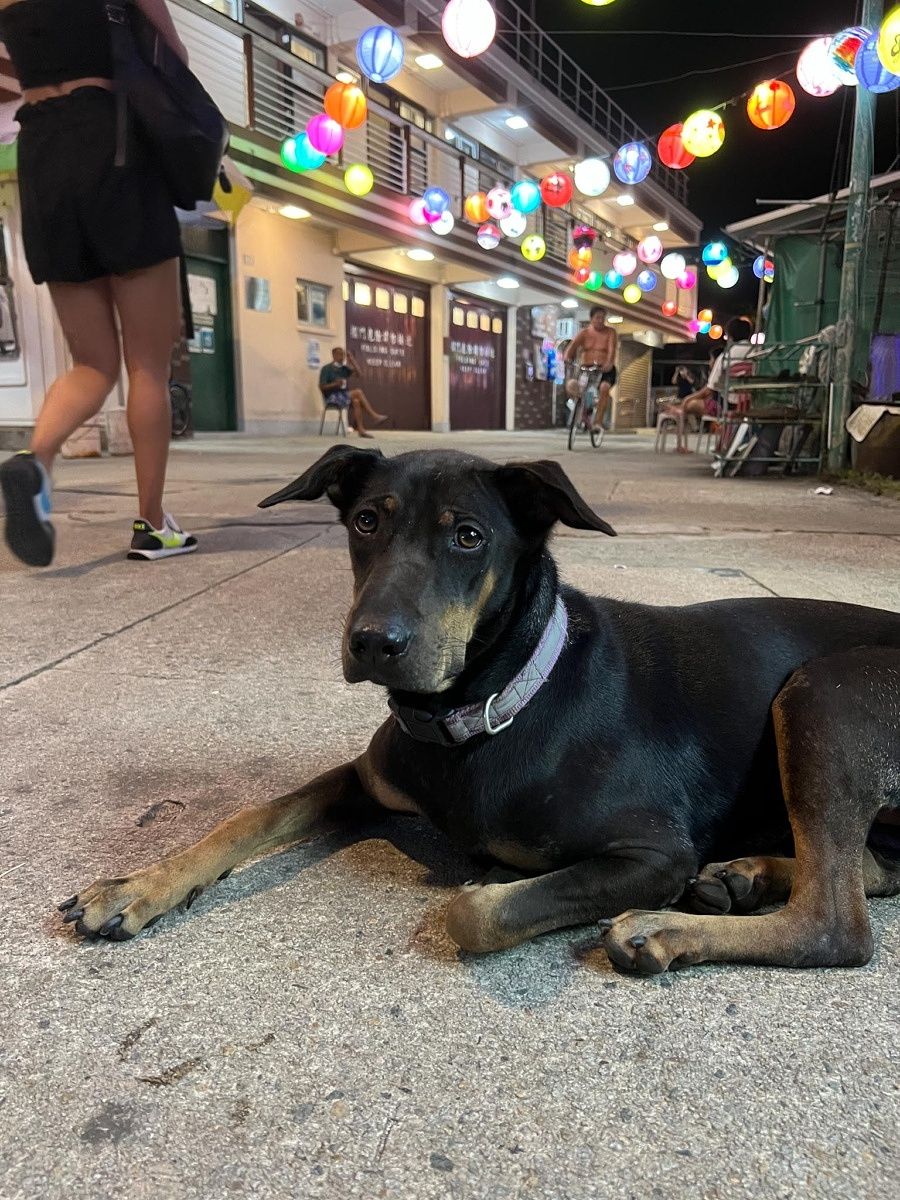 iPhone 13 Pro, main camera