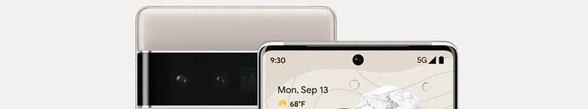 Pixel 6 Pro cameras
