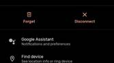 Pixel buds controls
