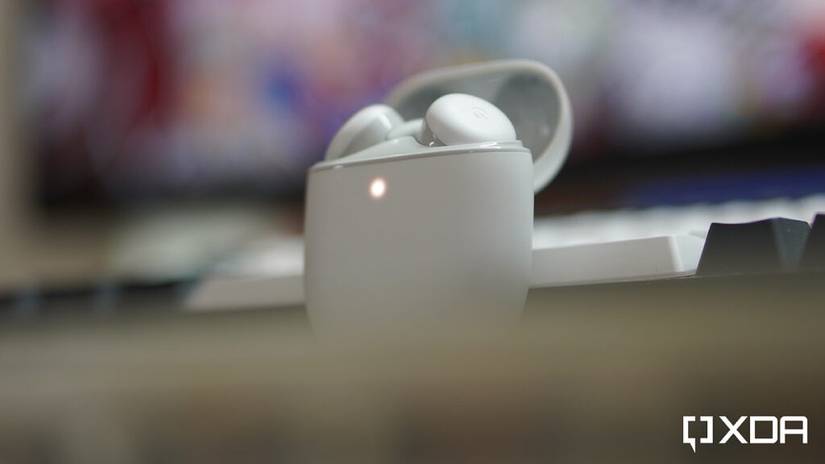 earbuds in the case