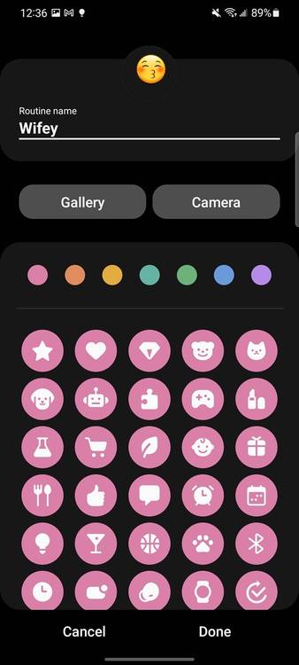 Wifey routine with custom icon