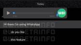 WhatsApp transcript section
