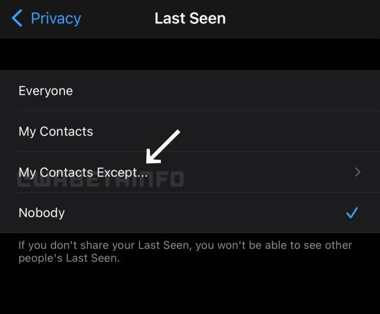 WhatsApp Last Seen visibility options
