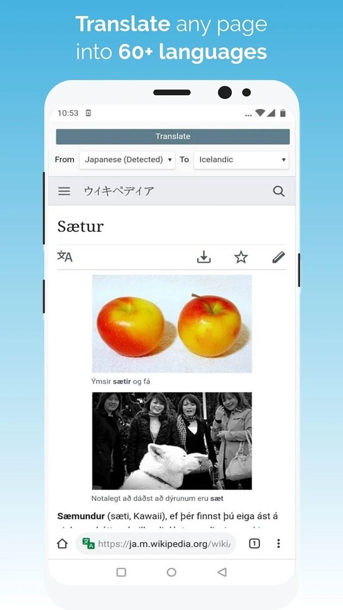 Kiwi Browser Translate