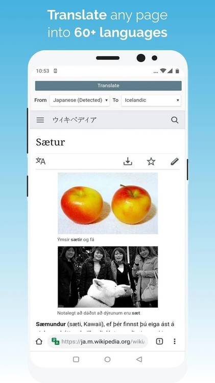 Kiwi Browser Translate