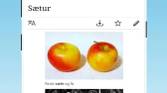 Kiwi Browser Translate