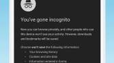 Kiwi Browser Incognito