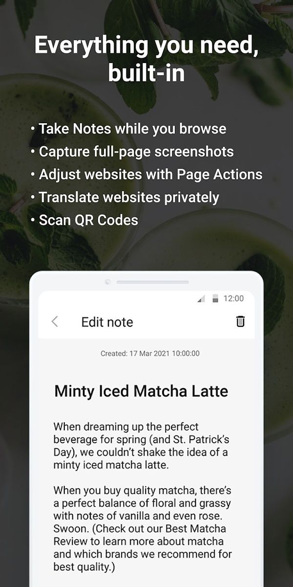 Vivaldi Web Browser Notes