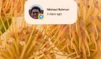 Conversations widget on home screen