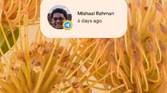 Conversations widget on home screen