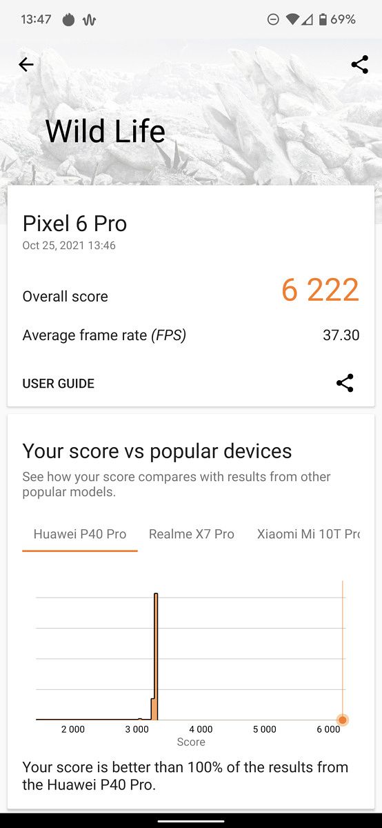 Google Pixel 6 Pro 3DMark Wild Life test