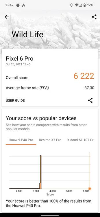 Google Pixel 6 Pro 3DMark Wild Life test