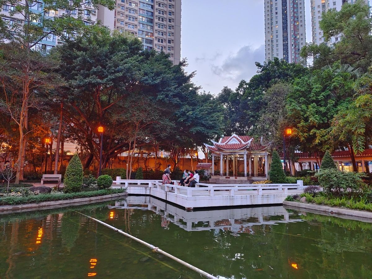 vivo photo samples
