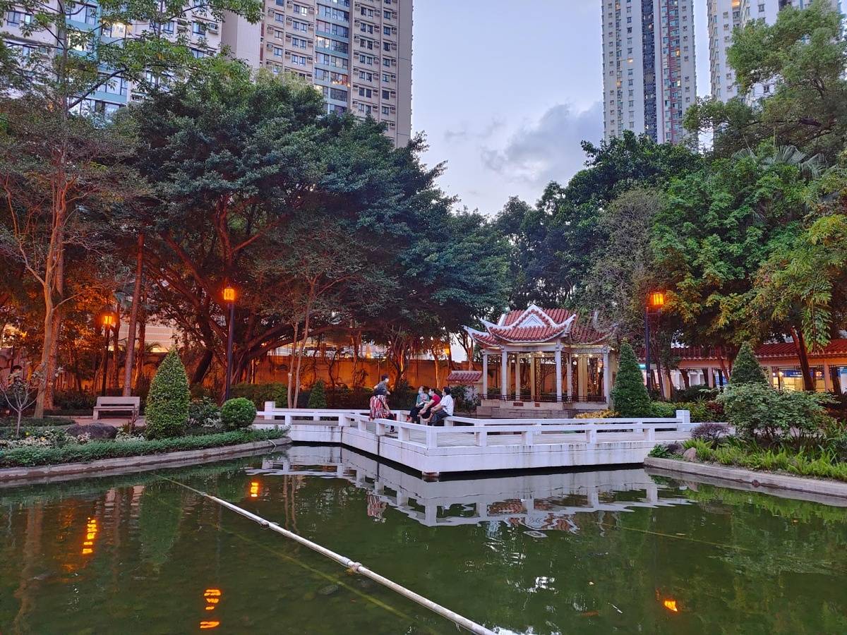 vivo photo samples