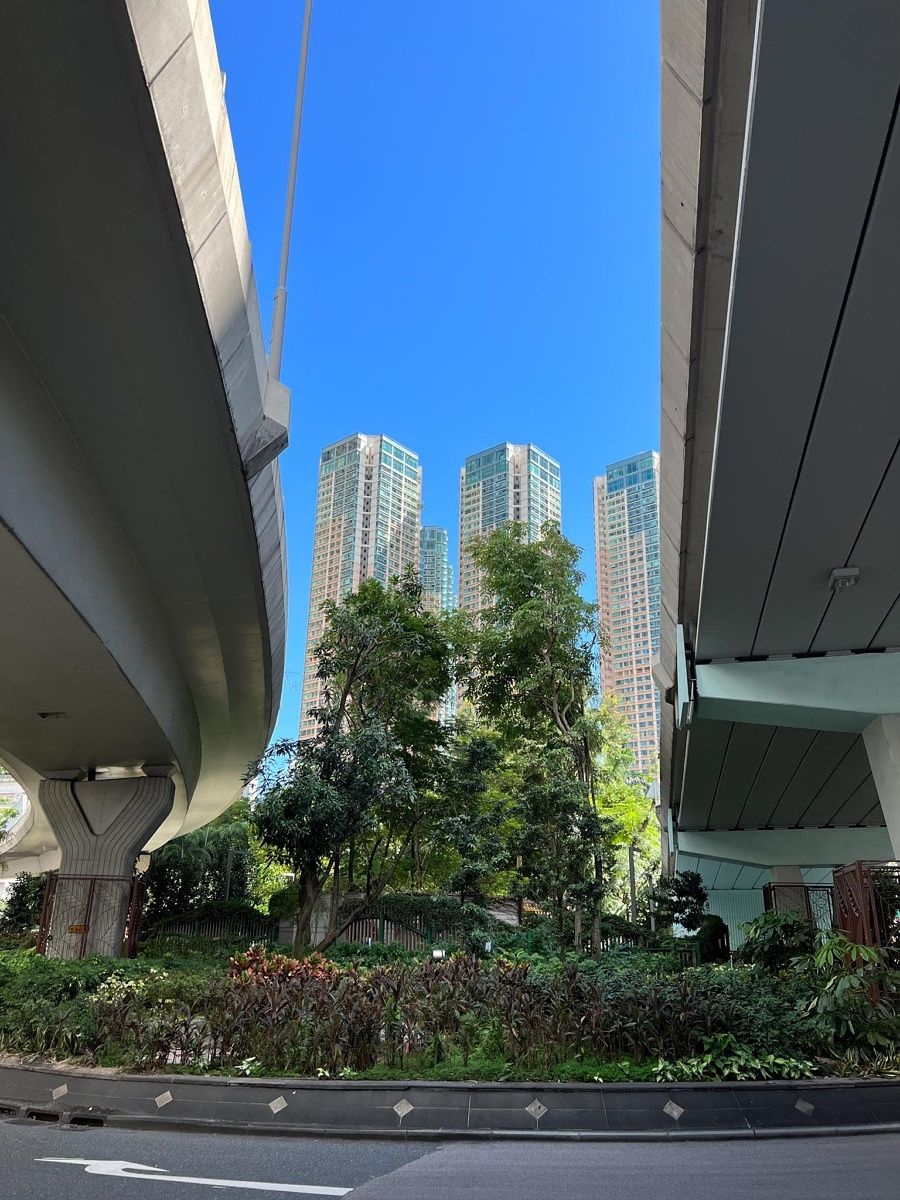 Photo sample