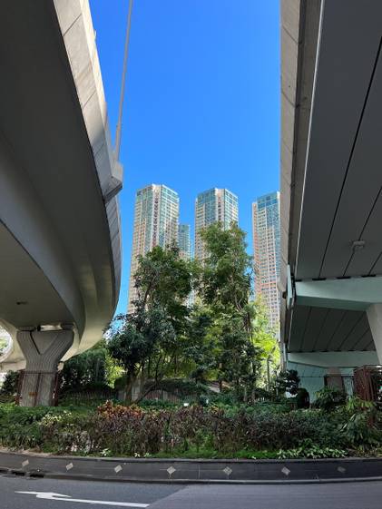 Photo sample