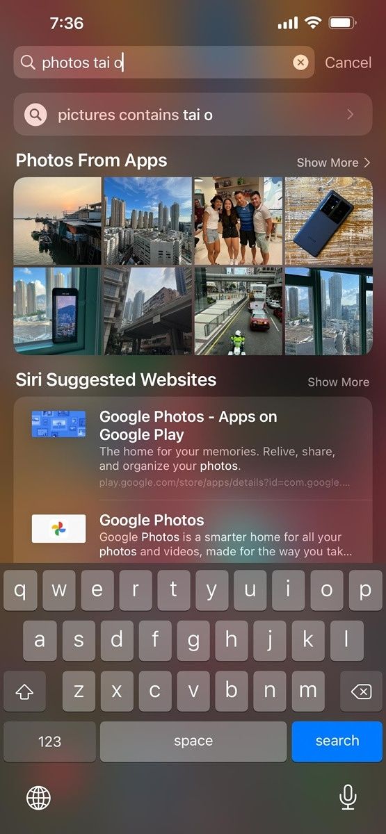 iOS search