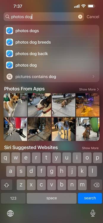 iOS search