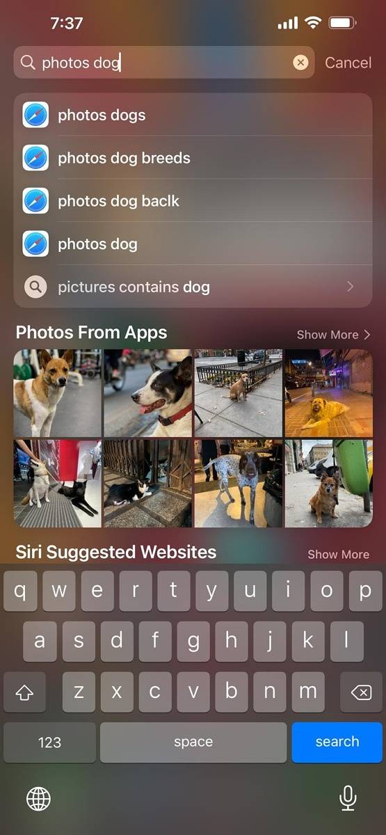 iOS search