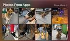 iOS search