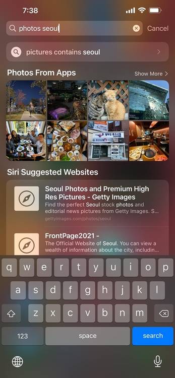 iOS search