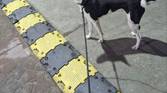 Magic Eraser on Google Pixel 4a before