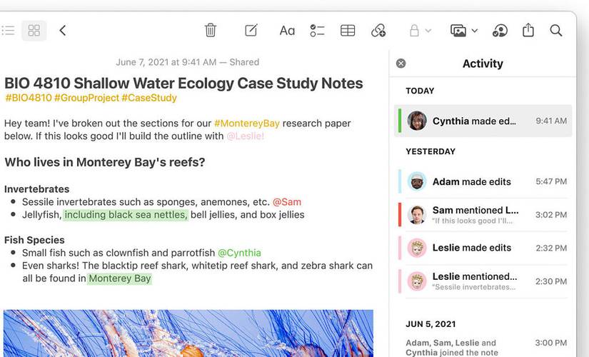 Notes collaboration tags and mentions macos 12 monterey