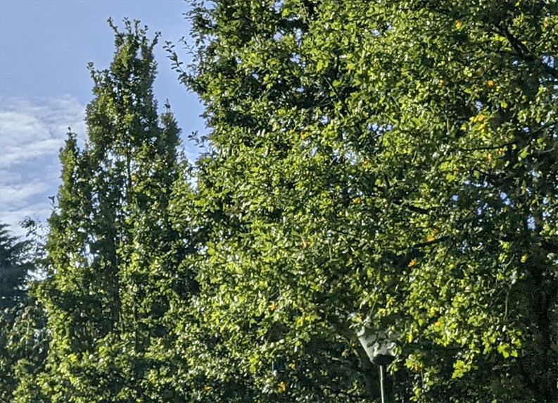 Pixel 5 Car Park Ramp cropped